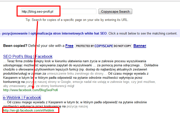 Wyniki sprawdzenia Copyscape dla bloga SEO Profi