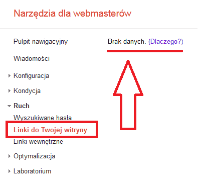 Lindi do twojej witryny - brak widocznych danych w Google